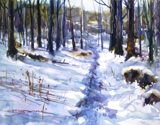 Bruce Trail Winter